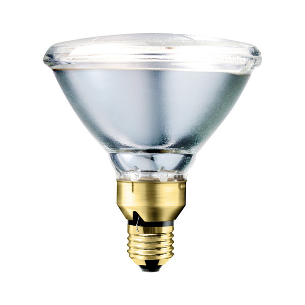 Lampes – PAR 38